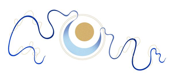 Vision for the Coming Year