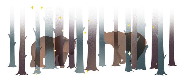 Often There Are Bears