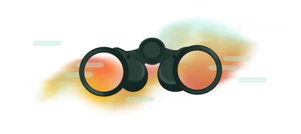 How I See an Owl, Alive in the Face of Things