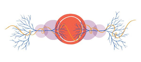 Love Story with Cow’s Eye