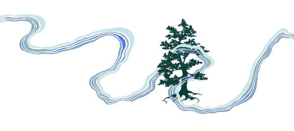 Rooted