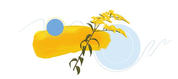 Goldenrod