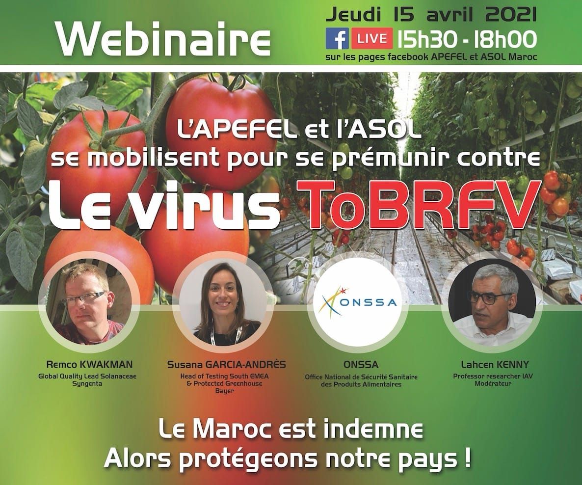 Webinaire professionnel sur la prévention du virus ToBRFV