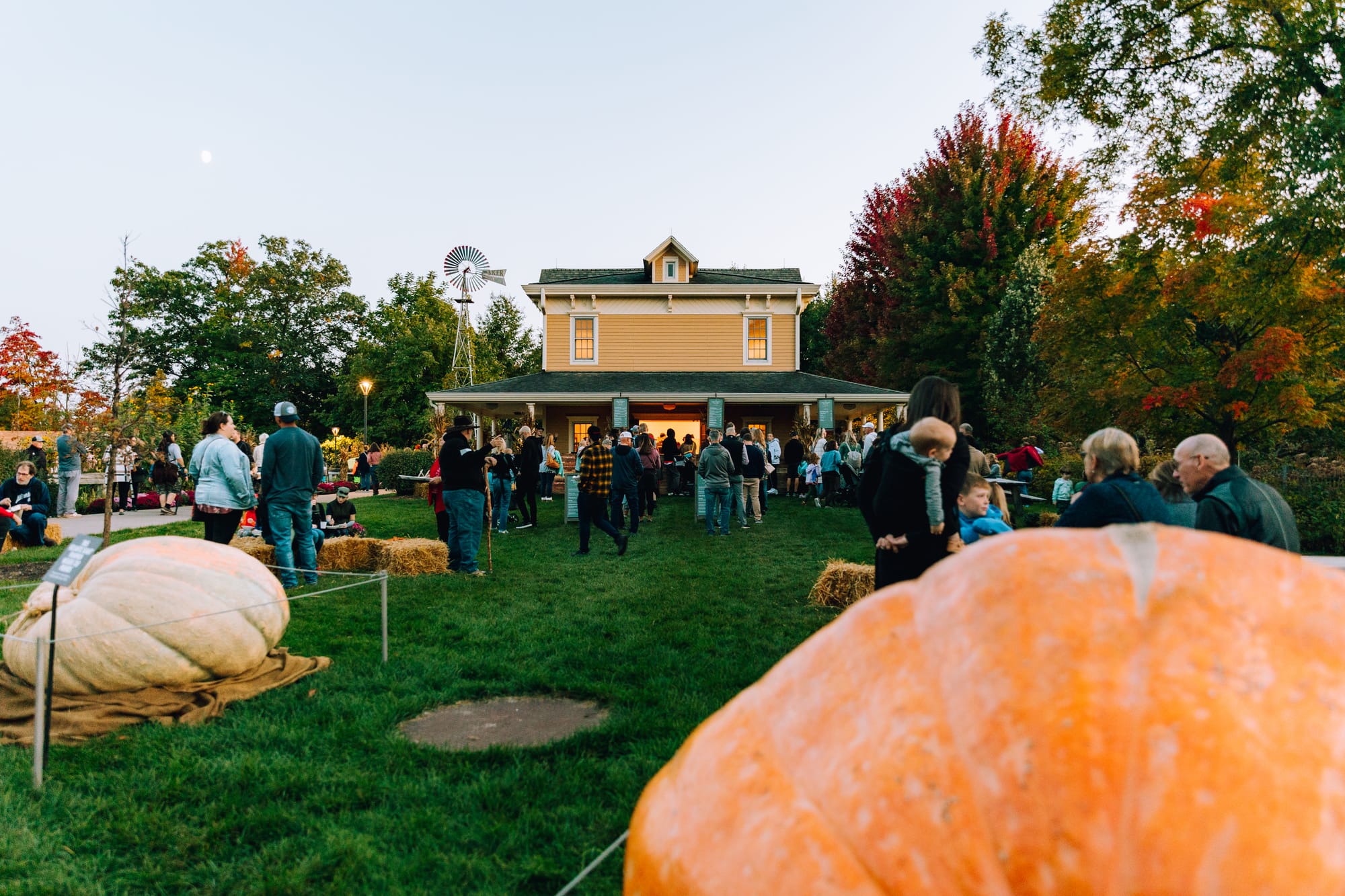 Meijer Gardens set to showcase Michigan music as part of October’s ‘Autumn Nights’