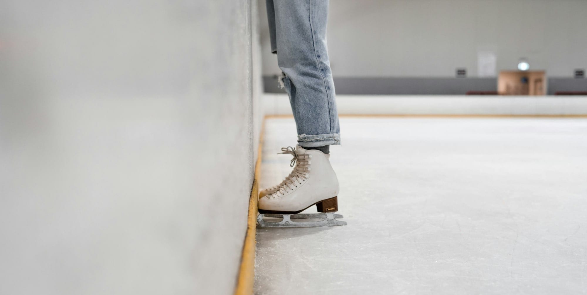 Holland, Hudsonville ice rinks set for multi-million dollar facelift with new ownership