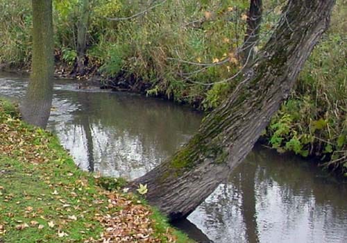 Politics infiltrates Ottawa County conservation board election as officials urge residents to vote