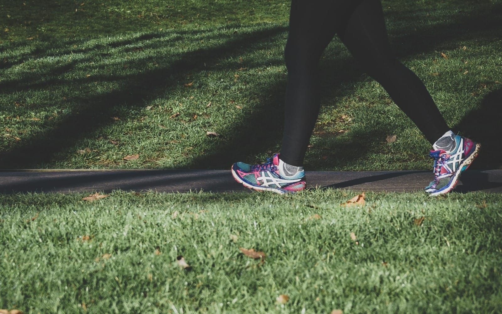 County Parks announces return of 'Step It Up!' walking program