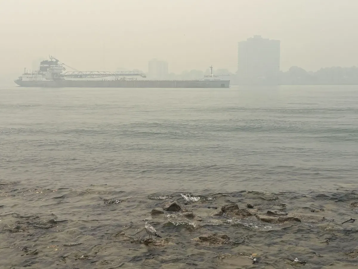 Michigan is enveloped in smoke (again). What you need to know.
