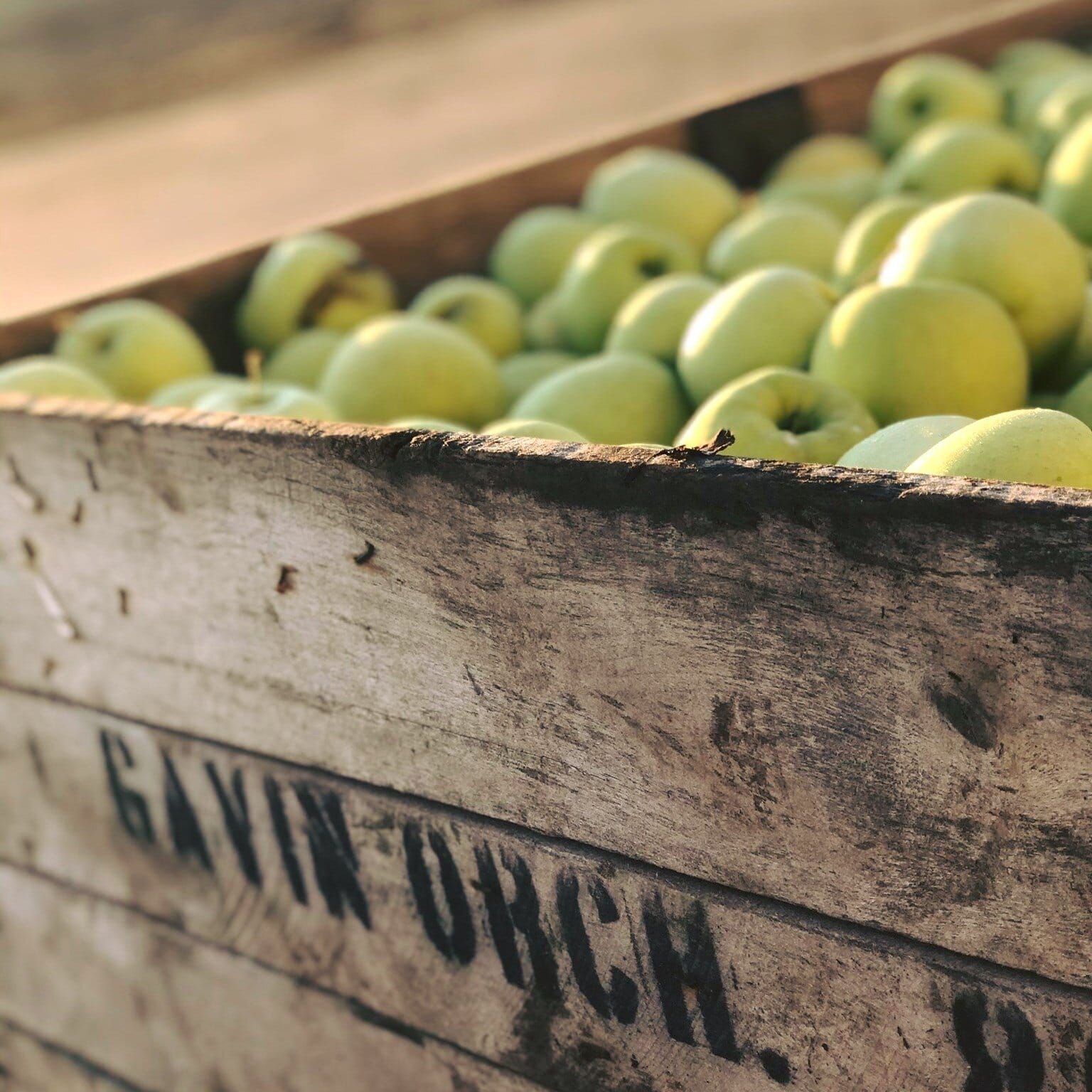 Zeeland, Coopersville businesses awarded state agricultural grants