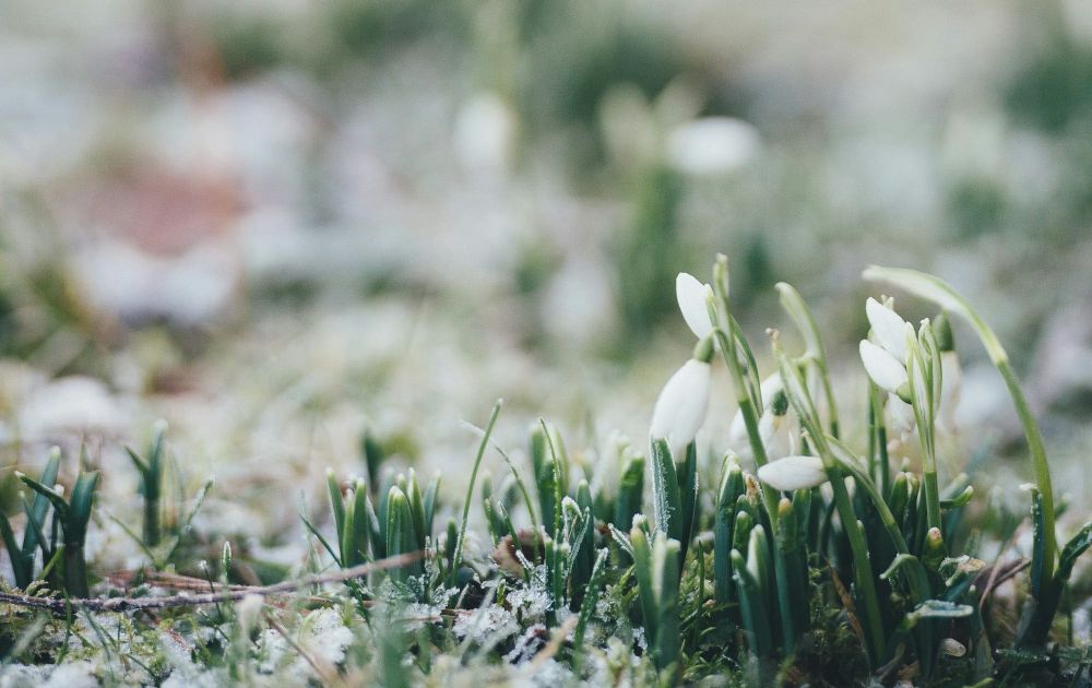 Bill Steffen's weekend forecast: Feb. 27-March 1 post image