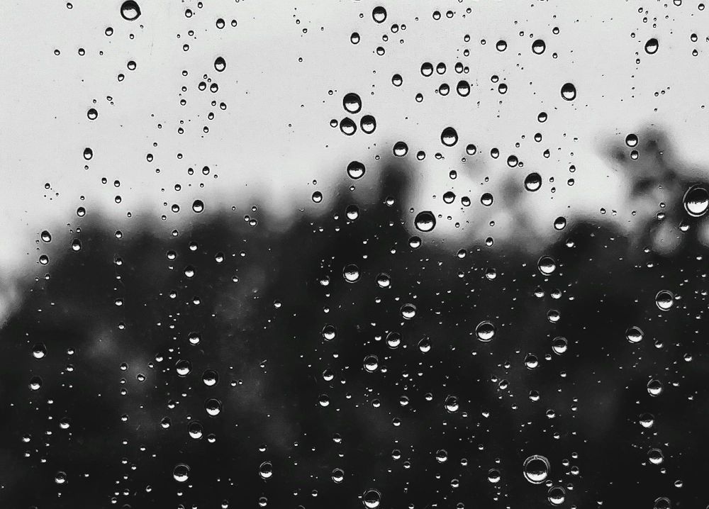 WARMTH BRINGS RAIN: Weekday forecast: March 2-6 post image