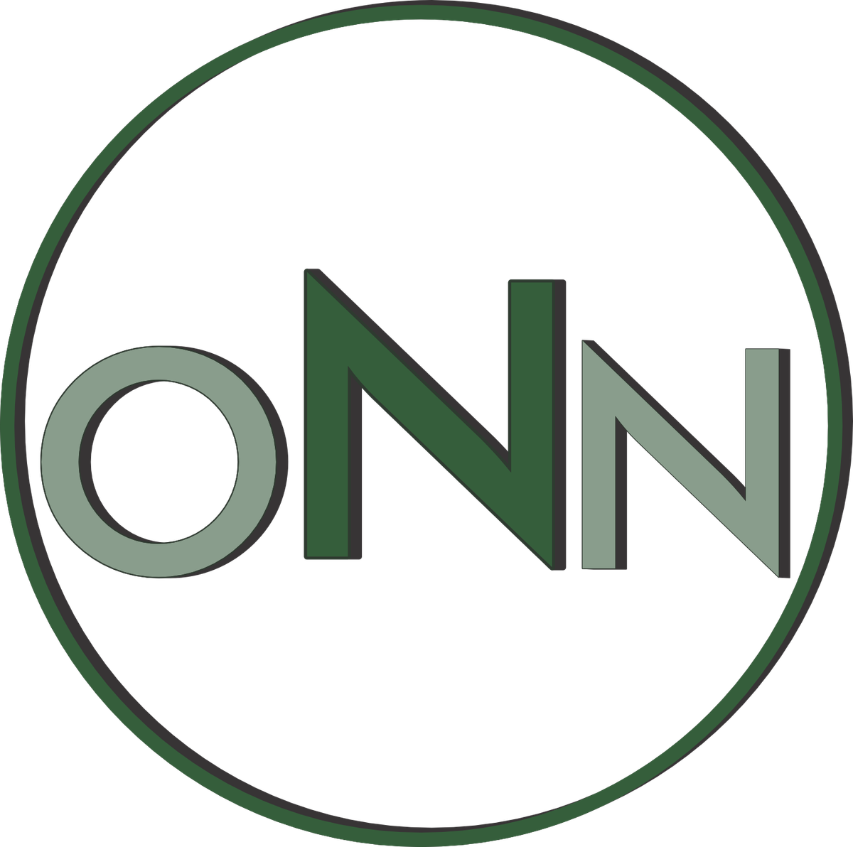 Ottawa News Network logo