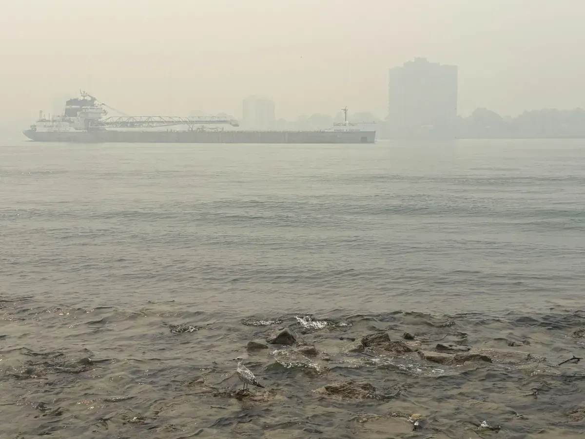 Michigan is enveloped in smoke (again). What you need to know. post image
