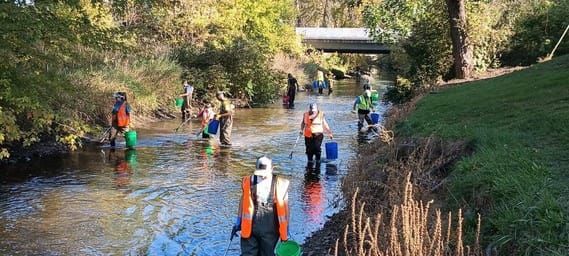 Hudsonville volunteers needed to restore local waterway at Rush Creek Cleanup Day post image