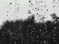 Cool pattern until mid-week. Get Bill Steffen's weekday forecast post image