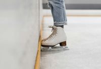 Formal investigation launched into consolidation of Michigan ice rinks over anti-trust concerns post image