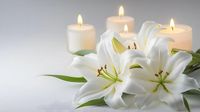Obituaries: Aug. 7, 2026 post image
