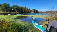 ODC Network unveils next phase of Project Clarity to accelerate Lake Macatawa restoration post image