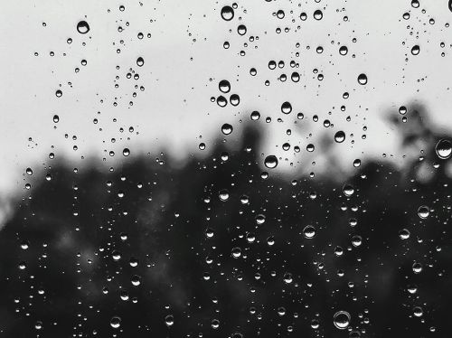 Cool pattern until mid-week. Get Bill Steffen's weekday forecast post image