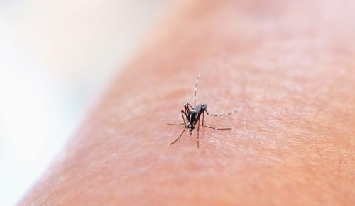 First human case of West Nile virus confirmed in Ottawa County post image