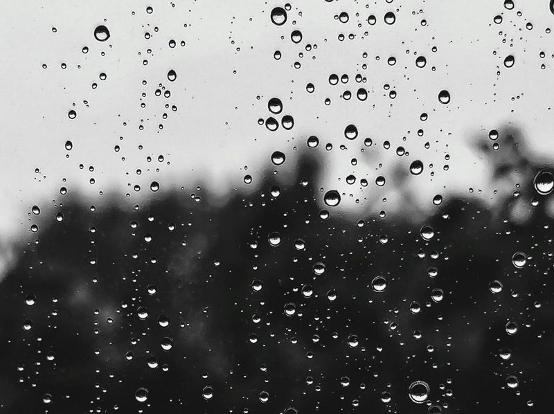 Cool pattern until mid-week. Get Bill Steffen's weekday forecast post image