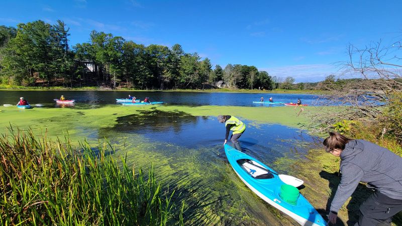 ODC Network unveils next phase of Project Clarity to accelerate Lake Macatawa restoration post image