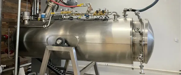 Green Cremation: What It Is, What It Costs, and How Eco-Friendly It Really Is