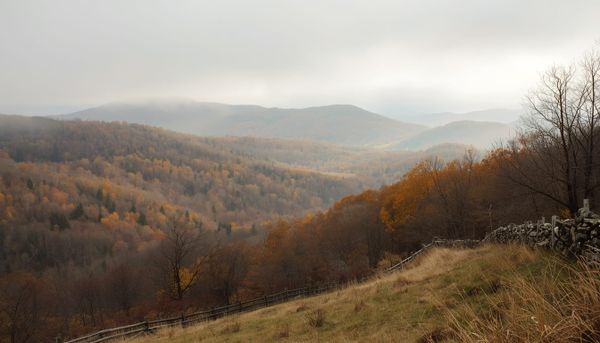 How Much Does Cremation Cost in Pennsylvania?