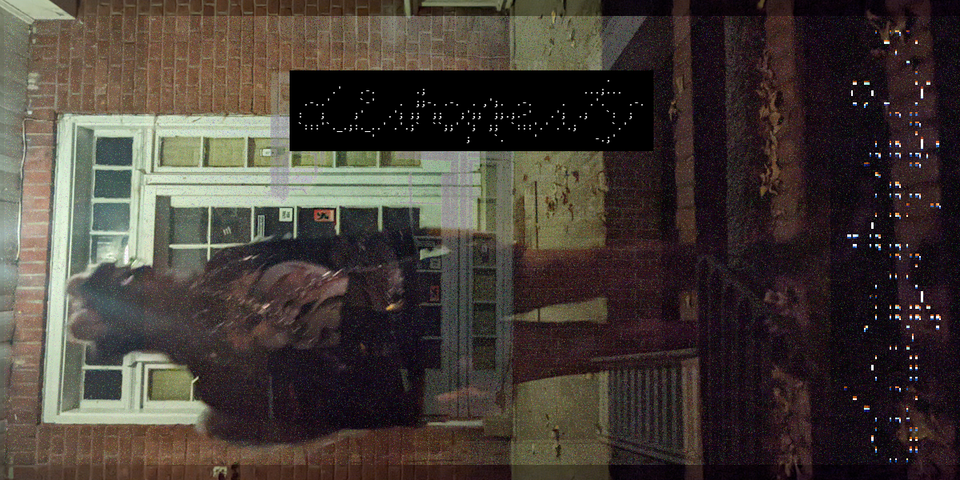 daphnis grainy photo in front of a dark house wearing cat ears that says "dishonesty" in ascii font