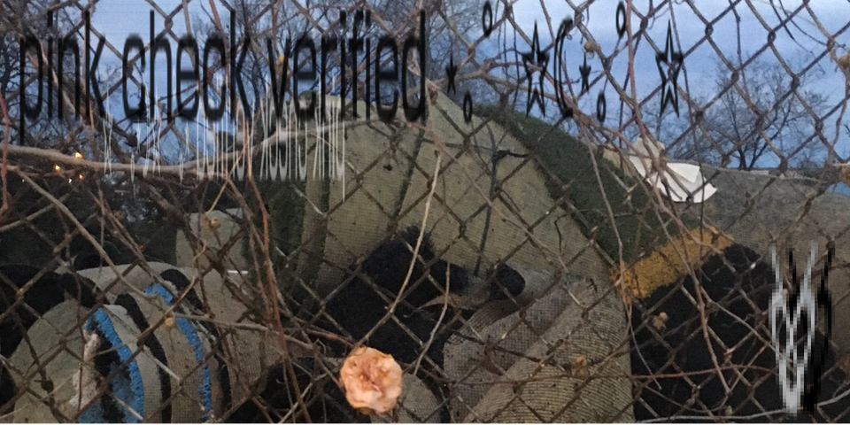 rolled-up turf behind a chain-link fence and it says the title of the zine.. and there's a flower amidst it.