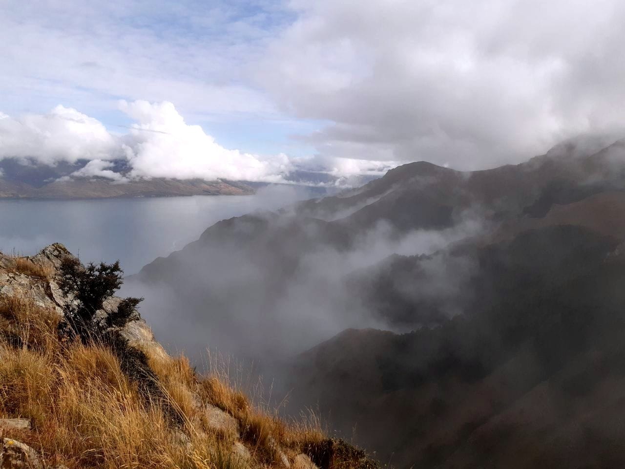 Rauhina Kohuwai-Banks