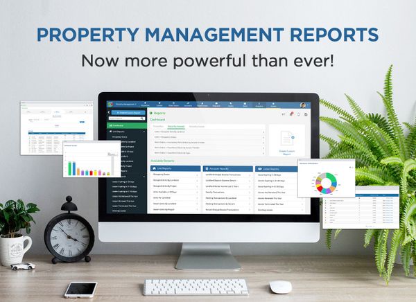 Gain deeper insights with 50 new reports