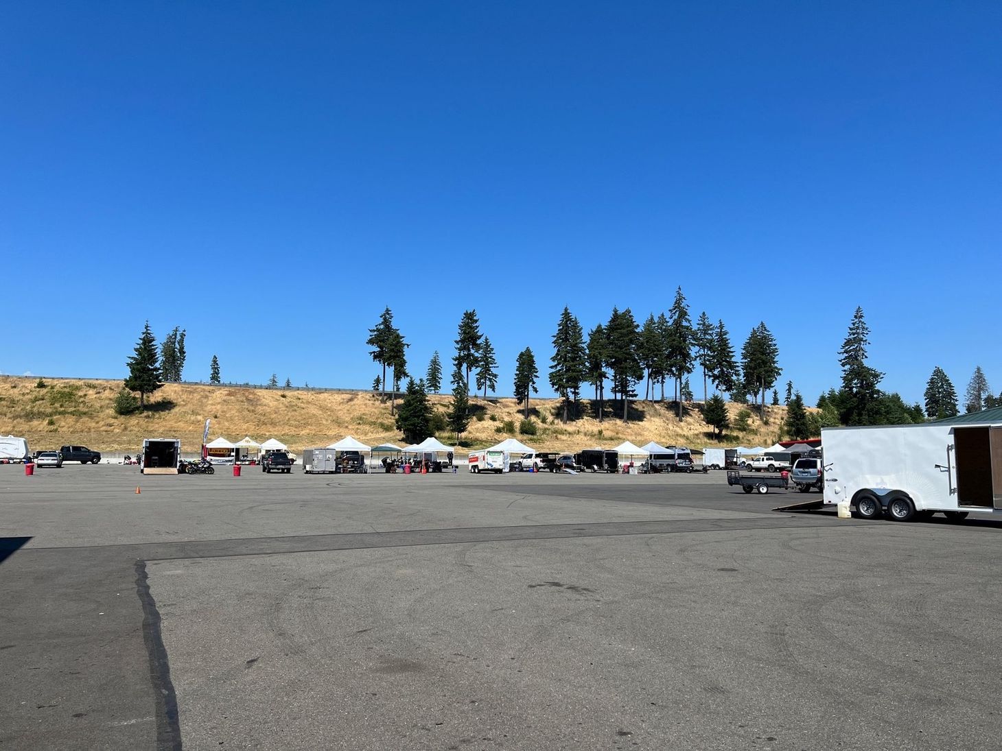 In case you missed it