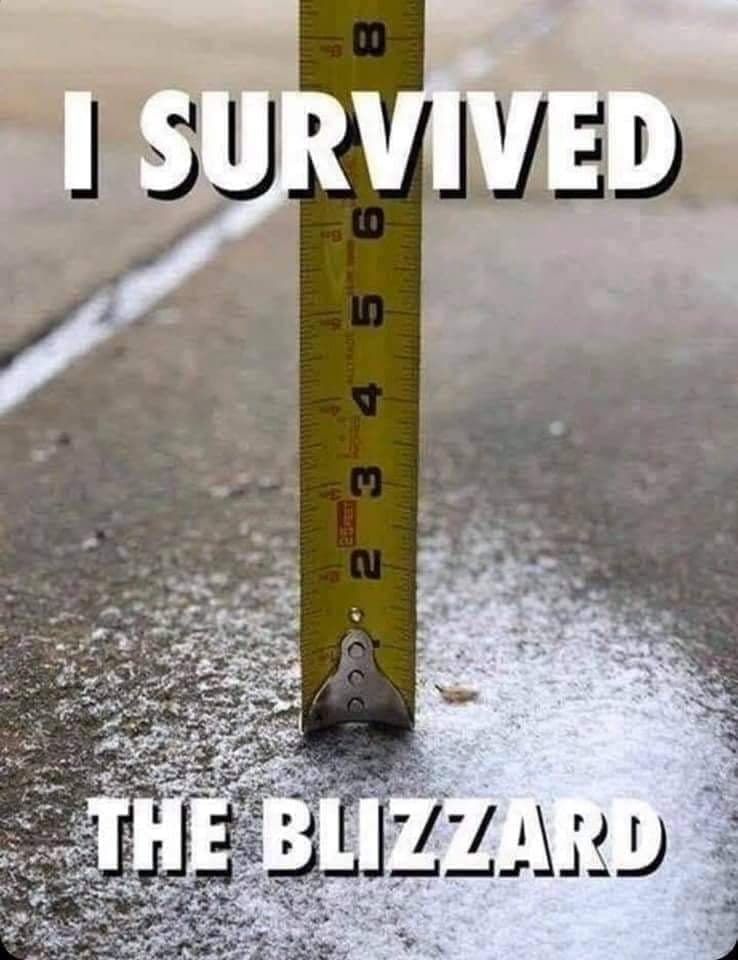 Seattle snow stepmom-brain edition