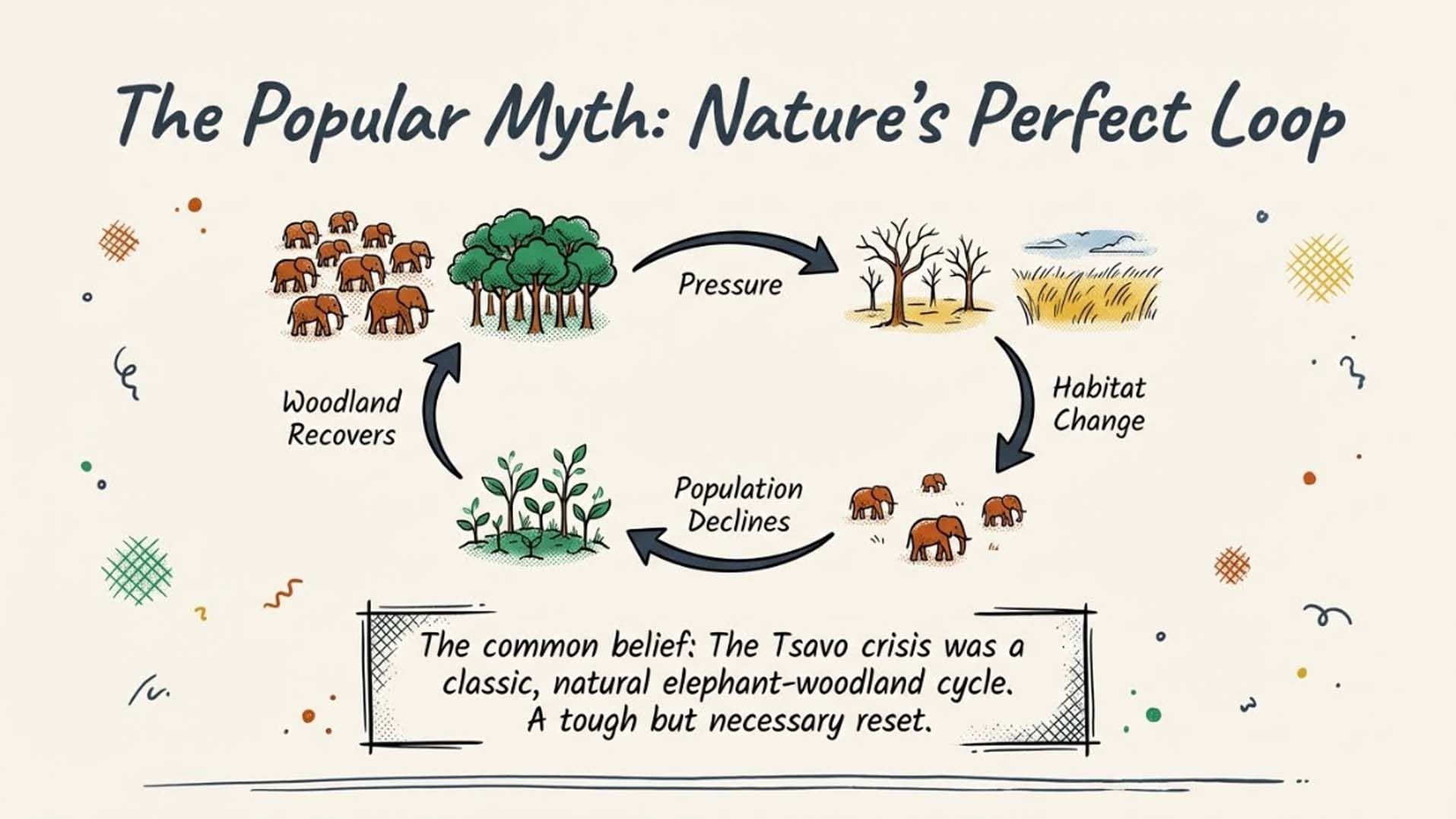 The Popular Myth: Nature's Perfect Loop