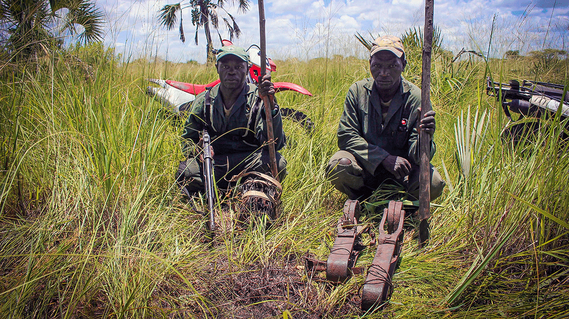 From Devastation to Thriving Wilderness: The Remarkable Restoration of Coutada 11