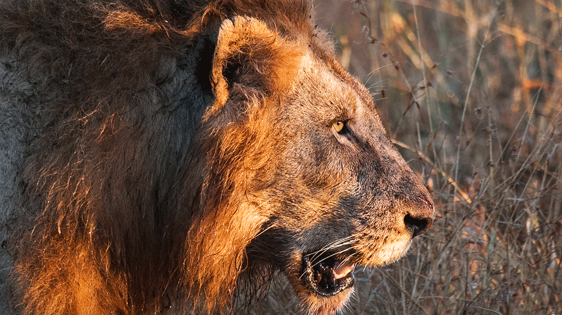 Priceless but Worthless