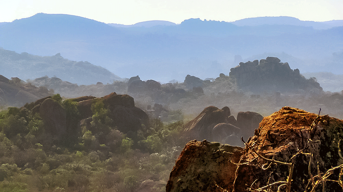 Wilderness Reborn (Full Documentary, 23 minutes)