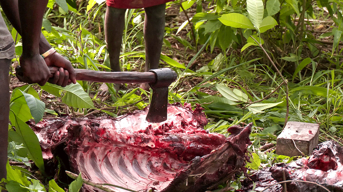 Commercializing the Bushmeat Trade: You Can’t Eat Pins