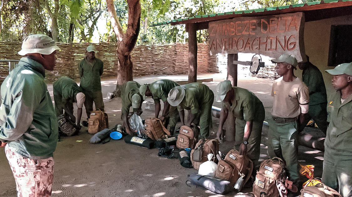 Poaching Threats