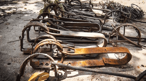 Introducing Patrol: Anti-Poaching in Action