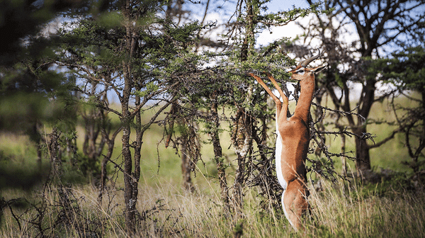 Landscapes and Appropriate Land Use