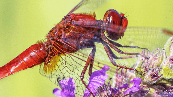 What Is It That We Are Trying to Achieve?