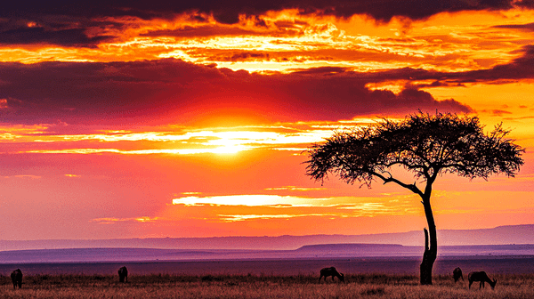 The Arrogance of Conservation Policy