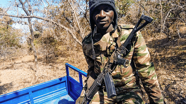Crossroads of Crisis: Northern Cameroon's Poaching Epidemic (5-minute Video)