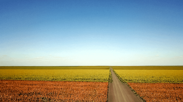 Botswana's Agricultural Fortress: Inside the Pandamatenga Project