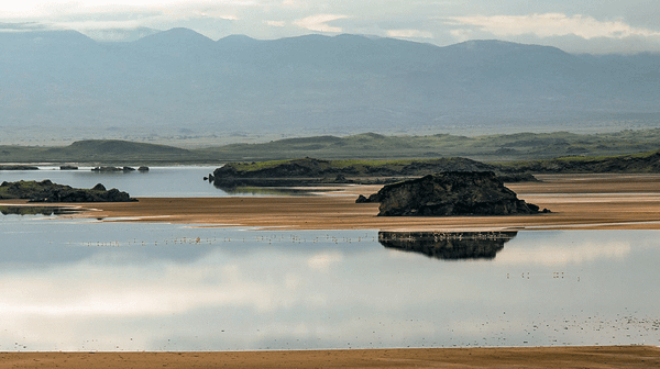 Payments for Ecosystem Services (PES) in African Conservation