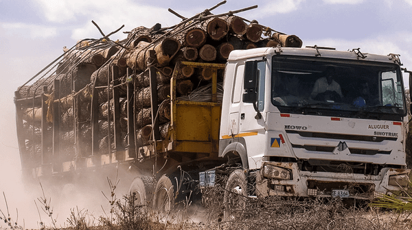 Tackling Illegal Activities (6-minute Video)