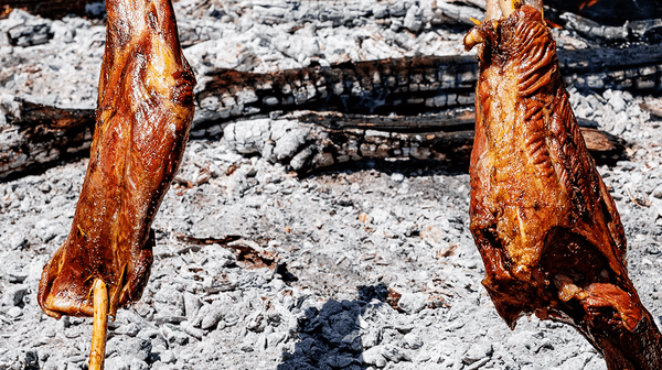 The Economics of Protein Supply in Africa: Why Supply Chains Determine Market Winners