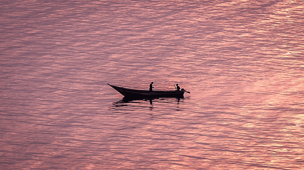 Rebuilding a Game Reserve (6-minute Video)